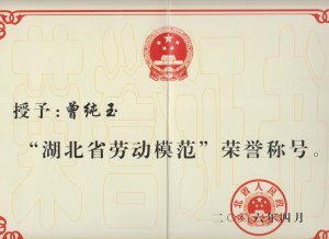 董事長(zhǎng)曾純玉獲“湖北省勞動(dòng)模范”榮譽(yù)稱(chēng)號(hào)