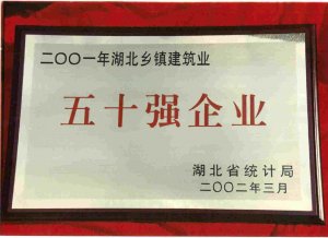 湖北省統(tǒng)計(jì)局授予“五十強(qiáng)企業(yè)”
